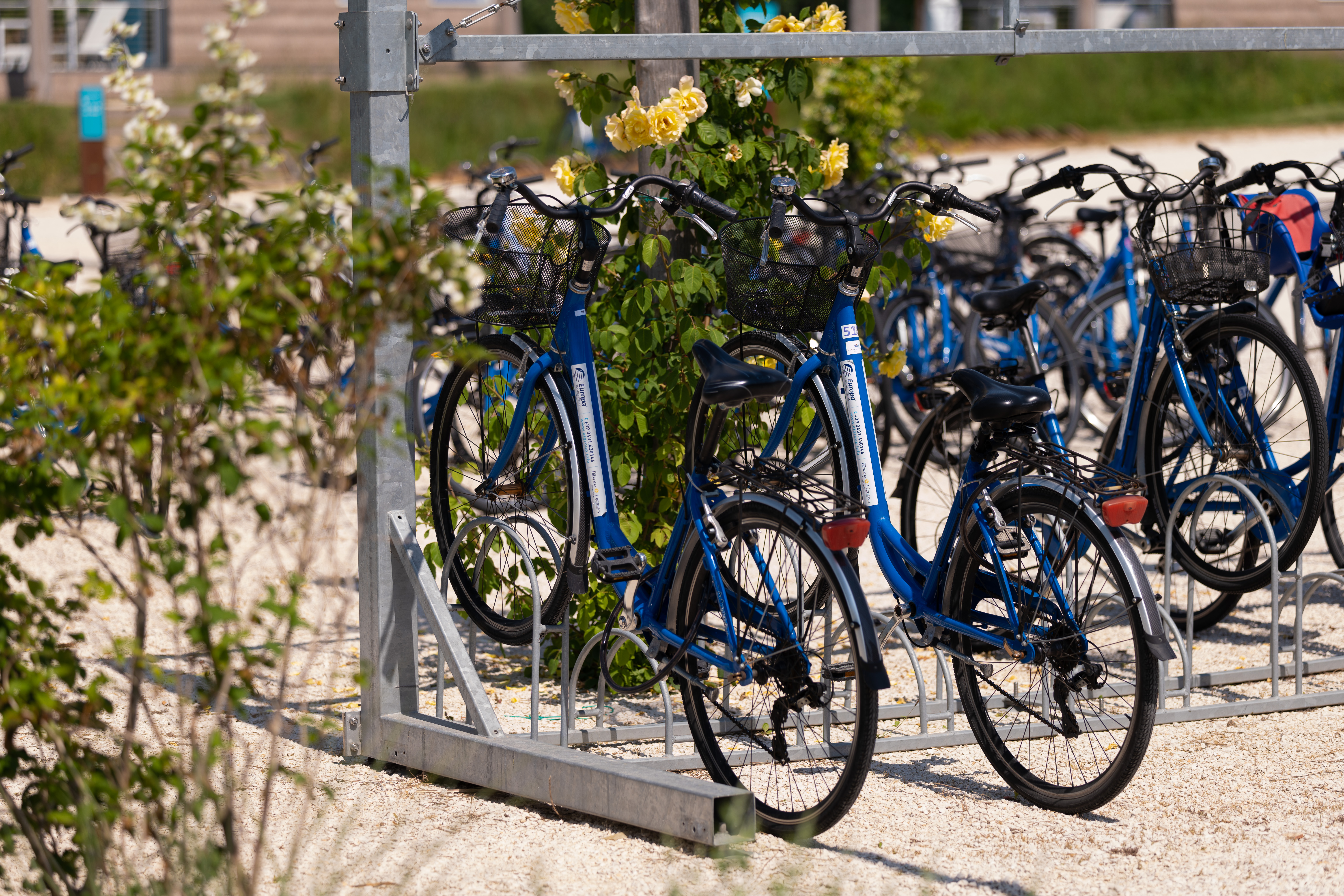 Marina Azzurra Resort_Biciclette